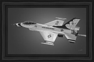 Dale Jackson - F-16 USAF Thunderbird
